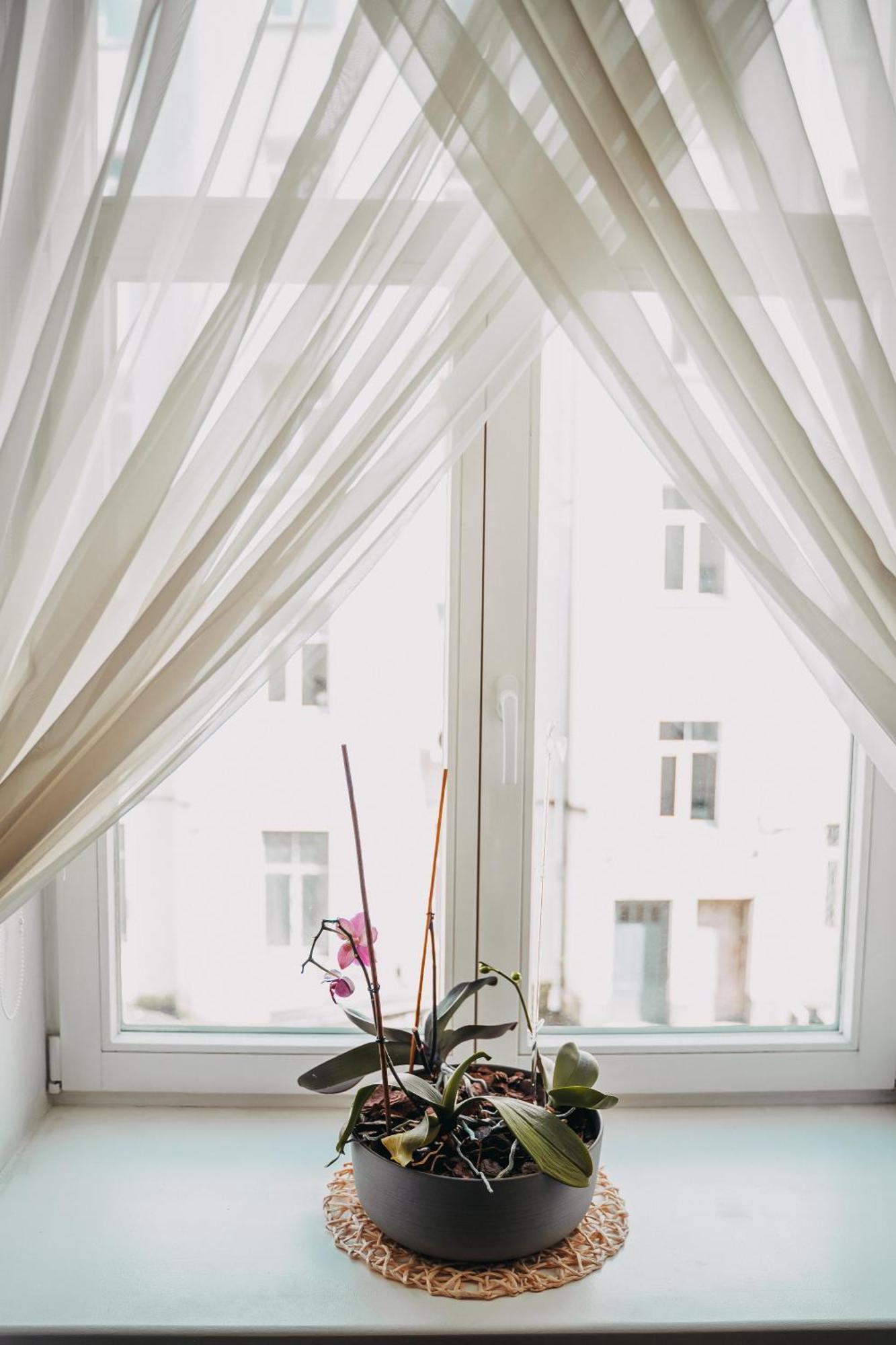 Family Apartment In Riga Center And Free Parking Exterior photo